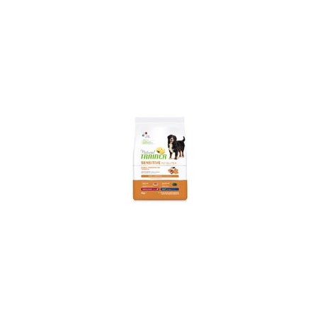 TRAINER SENS NOGL M/M AD.SALM KG. 12