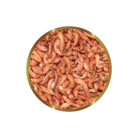 SHG GAMMARUS 30