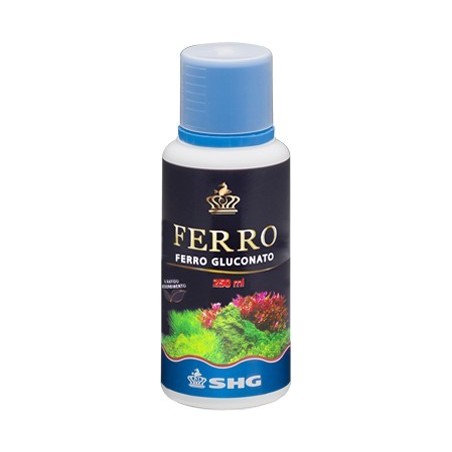 SHG FERRO GLUCONATO 100