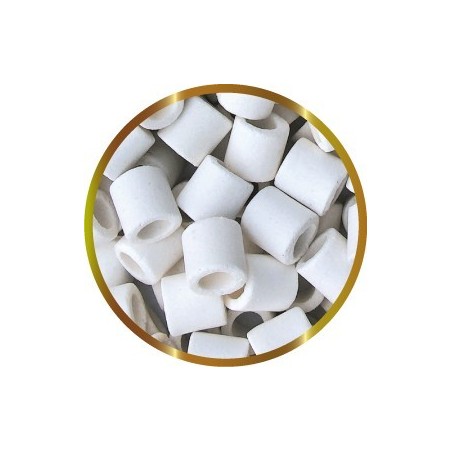 SHG BIOFOREX