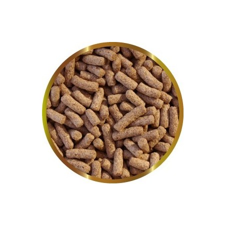SHG GAMMARUS STIK120