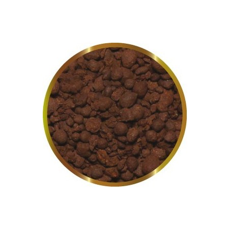 SHG TORBA