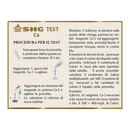 Test CA Calcio