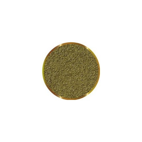 SHG SPIRULINA IN MICROGRANULI GR.40