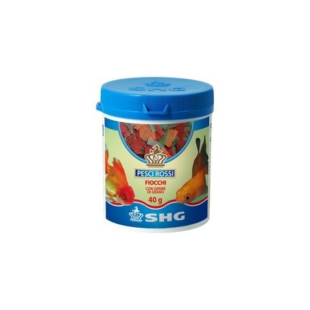 SHG MANG. PESCI ROSSI IN FIOCCHI 40