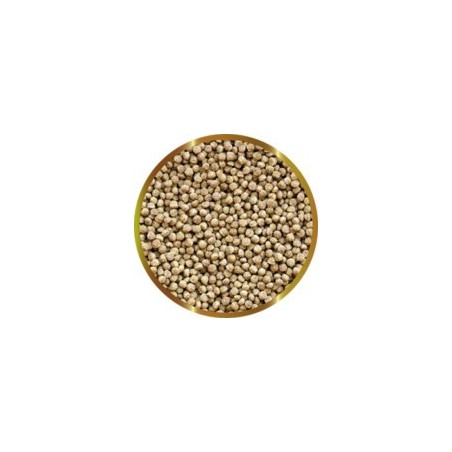 SHG MANG. PESCI ROSSI GRANULATO 125