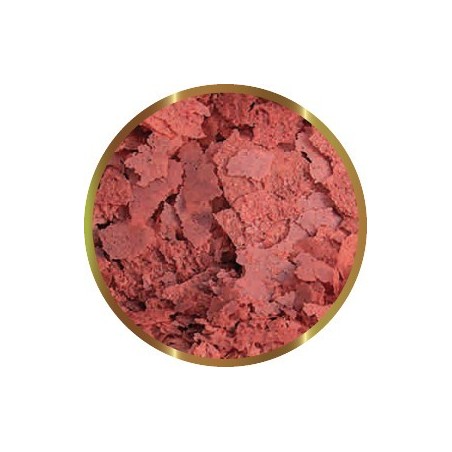 SHG HI RED IN FIOCCHI  40