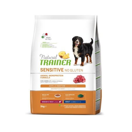 TRAINER SENS NOGL M/M AD.LAMB KG.3
