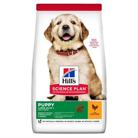 HILL'S CAN PUPPY LARGE CHICK.KG.12