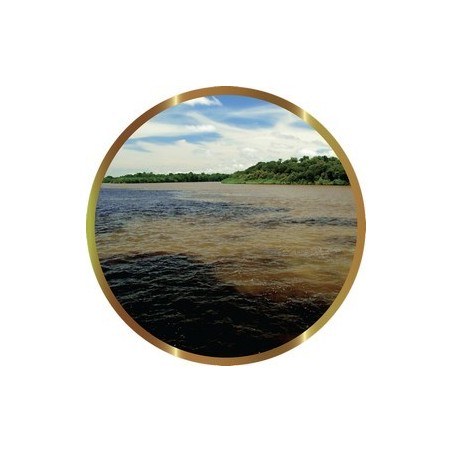 SHG AMAZONAS SALT 80G