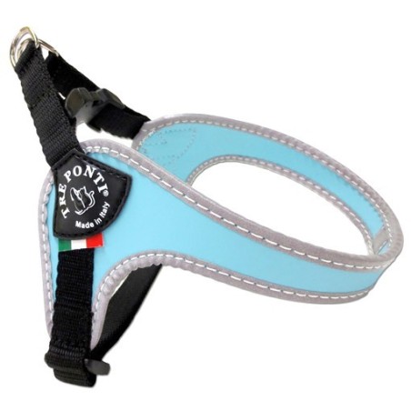 PETT.BORDO RIFR. 4 REGOL. AZZURRO