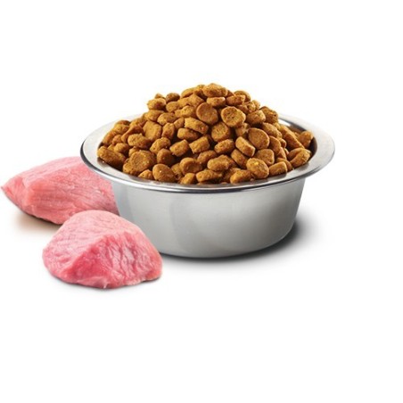 N&D DOG PUMPK. LAMB/BLU. ADULT MED/MAX 2.5 KG