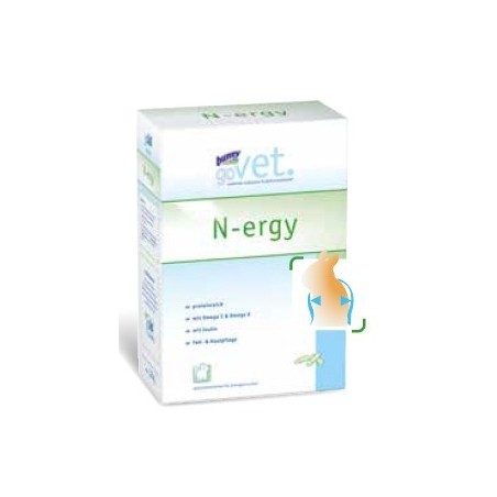 BUNNY N-ERGY KG.1,2