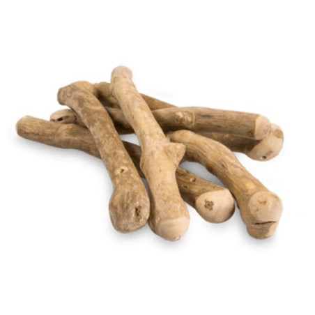 BUNNY - COFFEEWOOD