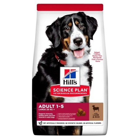 HILL'S CAN ADULT LARG LAM & RICE KG.12