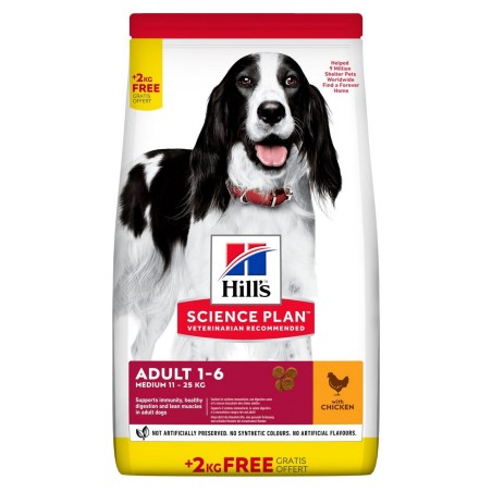 HILL'S CAN ADULT  MEDIUM CHICKEN KG.12