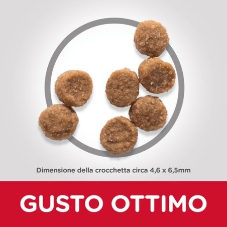 HILL'S CAN PUPPY MINI CHIK. KG.3 ELIMI