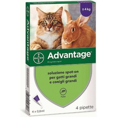 ADVANTAGE 80 GATTO + CONIGLIO 0,8 ML.