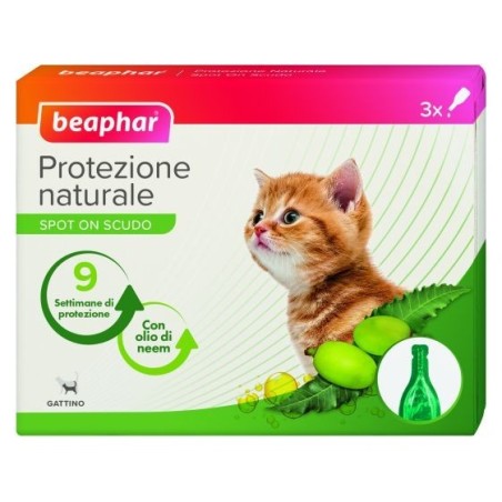 BEAPHAR PN SPOT ON GATTINI 3P