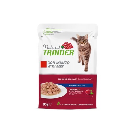 TRAINER BS NAT CAT MANZO GR.85