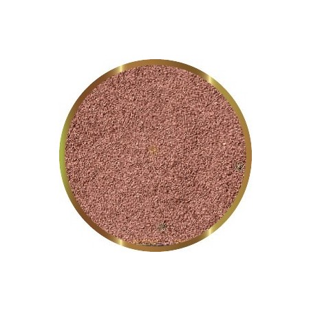 SHG CISTI DI ARTEMIA PREMIUM GR.10