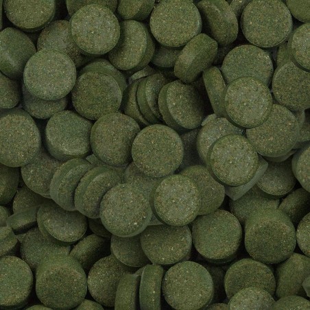 SERA SPIRULINA TABS ML.100