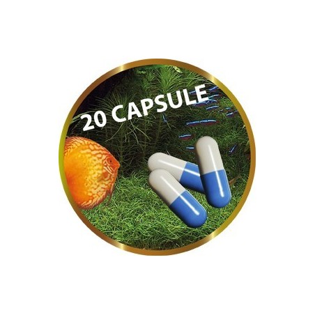 SHG RI AKTIVE CAPSULE GR.20