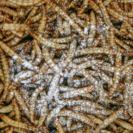 SERA REPTIMINERAL C ML.100
