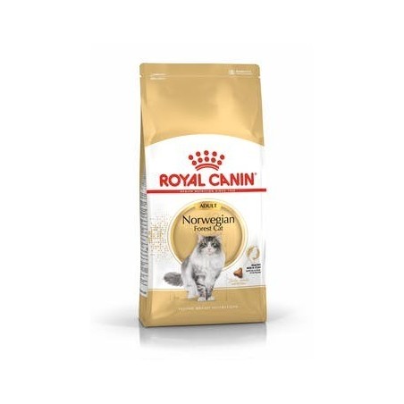 ROYAL CAT NORVEGESE KG.2