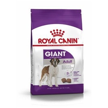 ROYAL DOG GIANT ADULT KG.15
