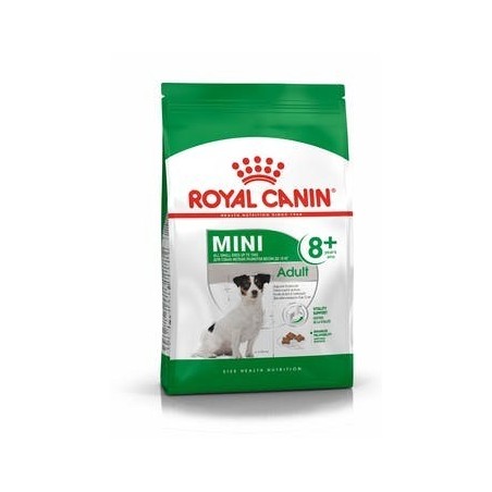 ROYAL DOG MINI ADULT 8+ GR.800