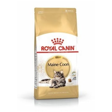 ROYAL CAT ADULT MAINE COON...