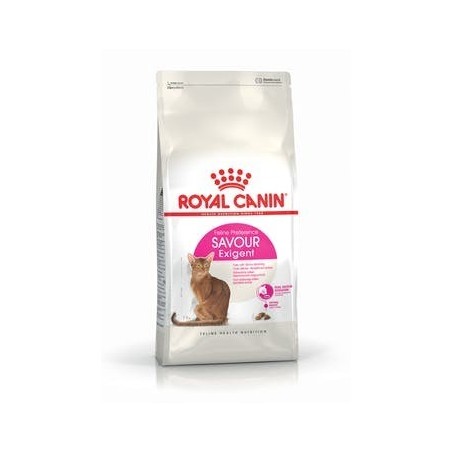 ROYAL CAT EXIGENT KG.10