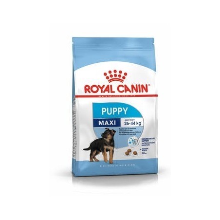 ROYAL DOG MAXI PUPPY KG.4