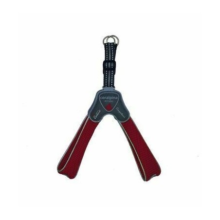 PETTORINA 5TORRI ROSSO VINO TG4 35-45 CM