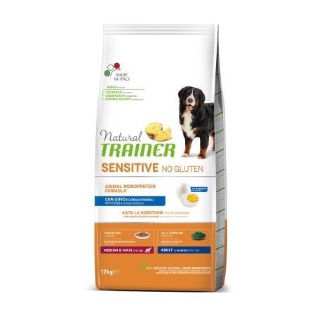 TRAINER SENS NOGL M/M AD.EGG KG.12