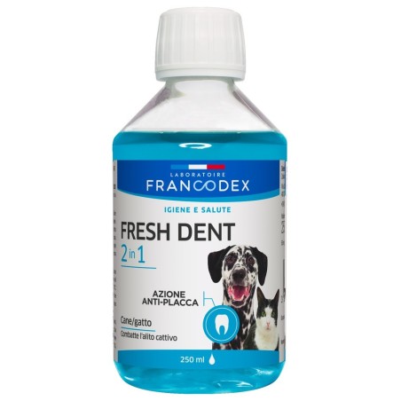 FRESH DENT COLLUTORIO 250ML
