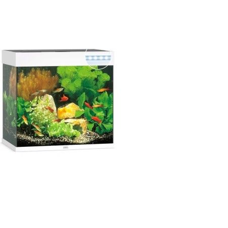 ACQ. LIDO 120 BIANCO 60CM. 2X24 POWERED
