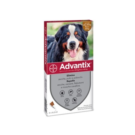 ADVANTIX SPOT ON CANI 40-60  PZ.6