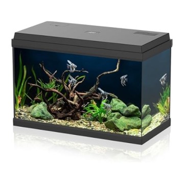 ACQ. AMTRA BASIC LED 60 BLACK