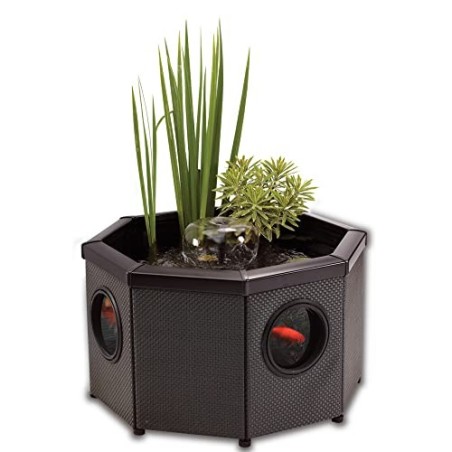 SERA LAGHETTO WINDOW POND OCTAGON (Mocha)