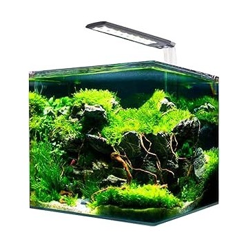 AMTRA NANOTANK CUBO SYSTEM 20 (25x25x30cm) 2