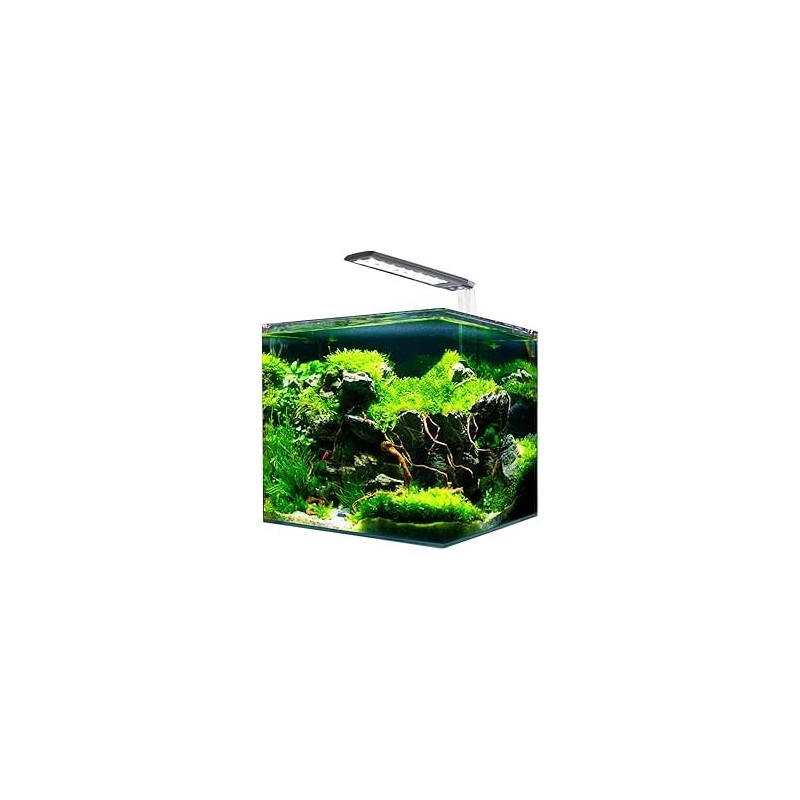 AMTRA NANOTANK CUBO SYSTEM 20 (25x25x30cm)