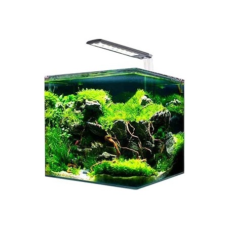 AMTRA NANOTANK CUBO SYSTEM 20 (25x25x30cm)